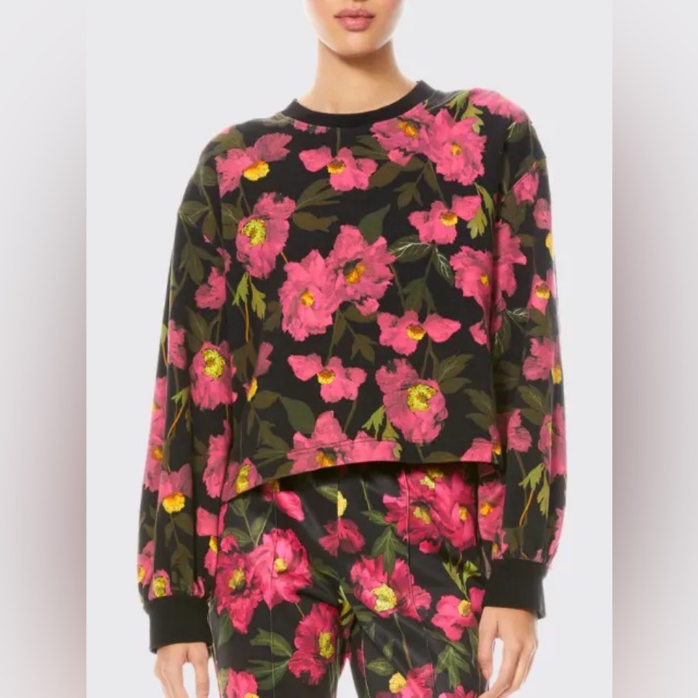 Alice + Olivia Gaia Blouson Sleeve Sweatshirt - Picture 2 of 13